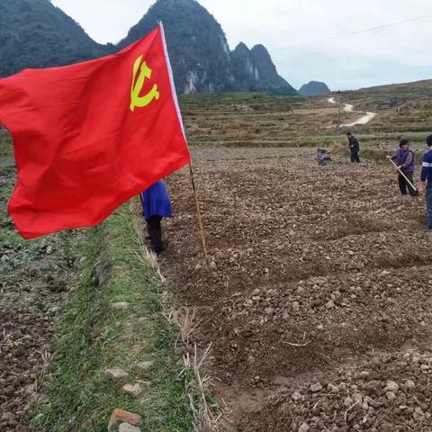 荔波水丰村振兴之路,乡村旅游与生态农业成果显著