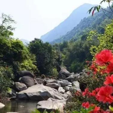 宁远景区开工了吗今天最新消息,宁远风景区有哪些地方