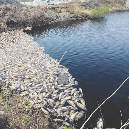 鱼塘镇新闻头条,鱼塘村在哪里