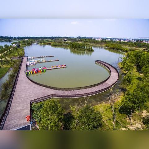 高淳新闻头条花海,高淳花海现在好玩吗