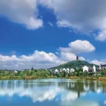 高淳新闻头条花海,高淳花海现在好玩吗