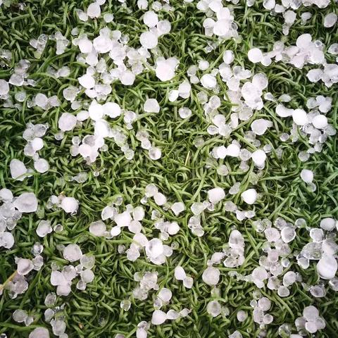 昆明汤圆小吃店排名榜,独特美味,创新不断!