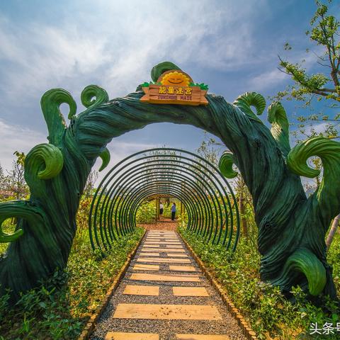 步行僵尸开局攻略秘籍与游戏技巧全解析