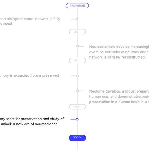 警惕人脑训练骗局,揭秘提高智力训练方法与产品的真相